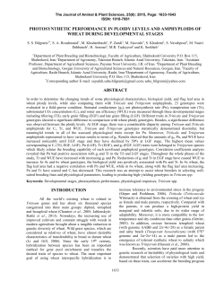photosynthetic performance in ploidy levels and amphyploids of