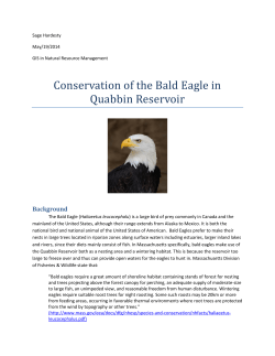 Conservation of the Bald Eagle in Quabbin Reservoir