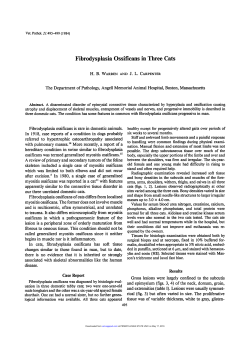 Fibrodysplasia Ossificans in Three Cats