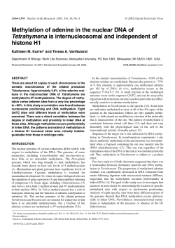 Methylation of adenine in the nuclear DNA of Tetrahymena is