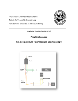 Single Molecule Fluorescence Spectroscopy