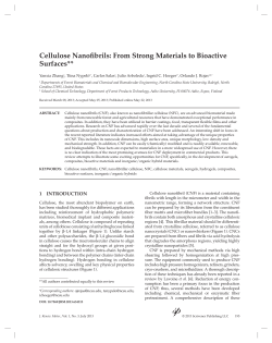Cellulose Nanofibrils: From Strong Materials to Bioactive Surfaces**