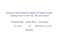 Extensive and intensive margins of labour supply: working hours in