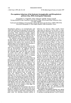 Pre-copulatory behaviour of the freshwater hermaphrodite snail