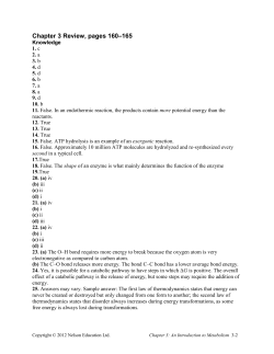 Chapter 3 Review Key
