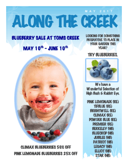 blueberry sale at toms creek may 10 &ndash; june 10