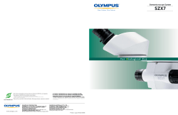Stereomicroscope System
