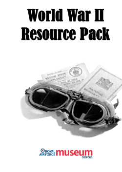 Evacuee Experience