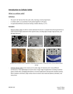 Introduction to Cellular Solids