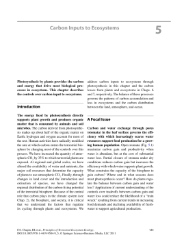 Carbon Inputs to Ecosystems