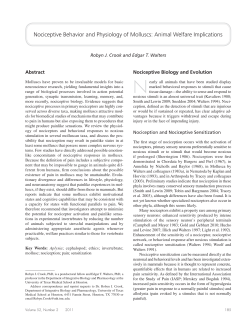 Nociceptive Behavior and Physiology of Molluscs