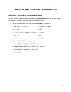 The Boy in the Striped Pajamas: Literary Devices Chapters 6-10