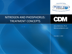 Nitrogen and Phosphorus: Treatment Concepts