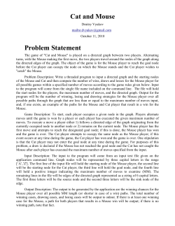 Cat and Mouse Problem Statement