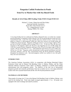Pangasius Catfish Production in Ponds from Fry to