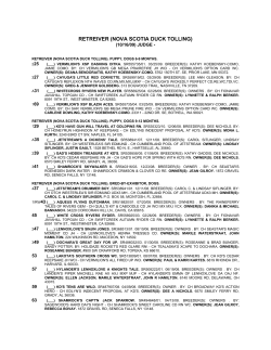 retreiver (nova scotia duck tolling) - NSDTRC-USA