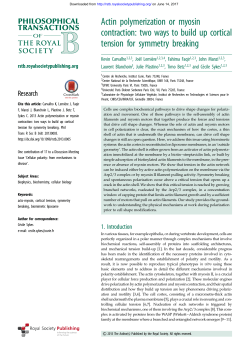 Actin polymerization or myosin contraction: two ways to build up