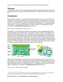 Lab 6 Photosynthesis