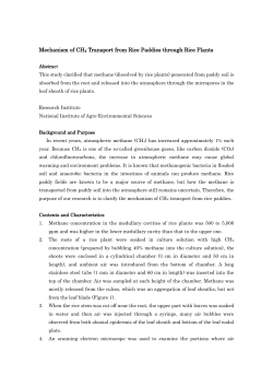 Mechanism of CH4 Transport from Rice Paddies through Rice Plants