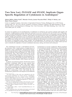 Two New Loci, PLEIADE and HYADE, Implicate