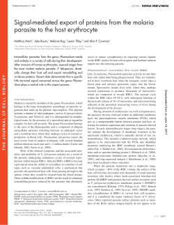 Signal-mediated export of proteins from the malaria parasite to the