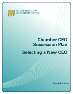 Chamber CEO Succession Plan Selecting a New CEO