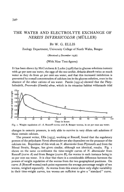 the water and electrolyte exchange of nereis diversicolor