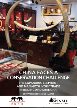 China faCes a Conservation Challenge