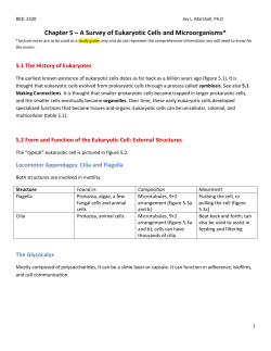 Chapter 5 &ndash; A Survey of Eukaryotic Cells and Microorganisms*