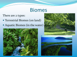 Terrestrial Biomes