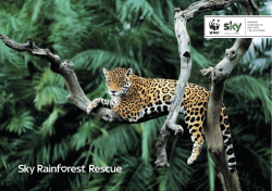 Sky Rainforest brochure