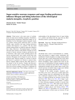 Sugar‑sensitive neurone responses and sugar feeding preferences