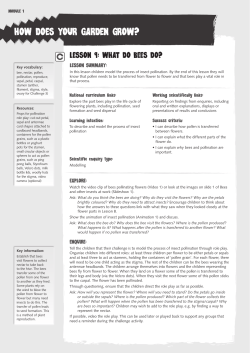 how does your garden grow?