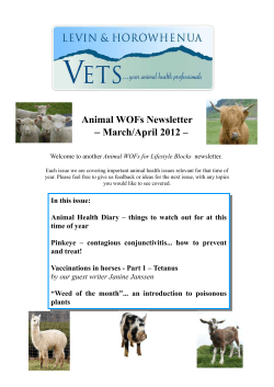 Pink eye - Levin and Horowhenua Veterinary Centre