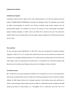 Supplementary Methods Antibodies and reagents A