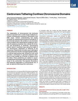 Centromere Tethering Confines Chromosome