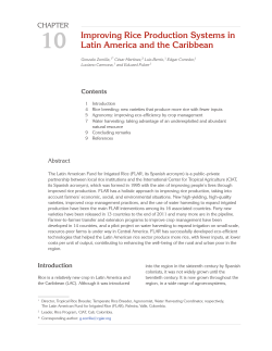 Improving Rice Production Systems in Latin America and the