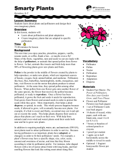 Smarty Plants - SF Environment