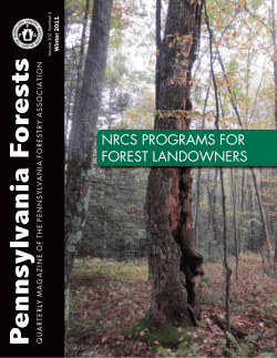 P ennsylvania Fo rests - Pennsylvania Forestry Association