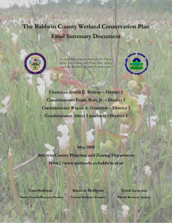 Baldwin County Wetland Conservation Plan