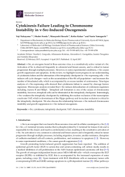 Cytokinesis Failure Leading to Chromosome Instability in v