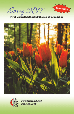 Have a look at our Spring 2017 Brochure online