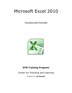 Microsoft Excel 2010