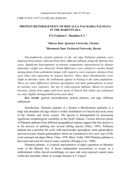 Повний текст PDF