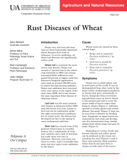 Rust Diseases of Wheat - FSA-7547