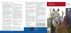 Basic Feeding - British Horse Society