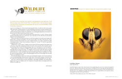 Jan/Feb - Photo Competition - North Carolina Wildlife Resources