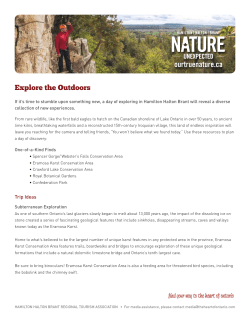 Explore the Outdoors