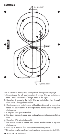 PATTERN 8 Trot to center of arena, stop. Start pattern facing towards