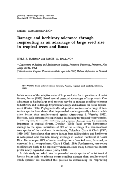 Damage and herbivory tolerance through resprouting as an